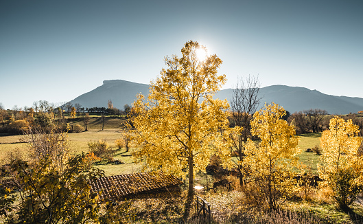 Autumn in Bavaria in the countryside with meadows and streams