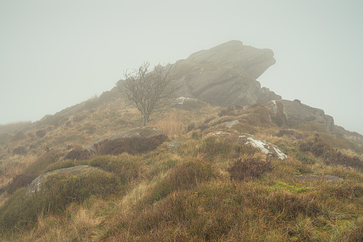 A bleak winter landscape of Gib Torr in the mist and fog in the Peak District National Park.