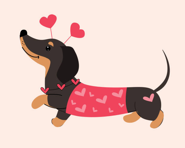 Mother Of Dachshunds -Doxie Dachshund Wiener Daschund Weiner Mother Of Dachshunds -Doxie Dachshund Wiener Daschund Weiner
