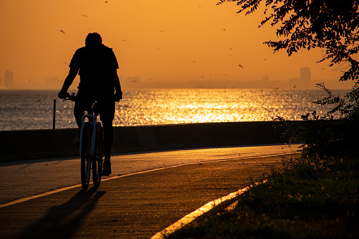 silhouette of person cycling on the beach