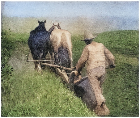 Antique dotprinted photo of paintings: Farmer ploughing