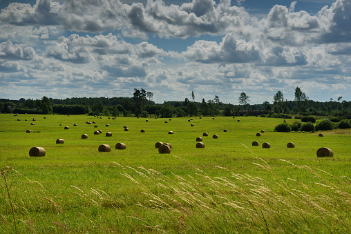 A view of the beautiful countryside with hay rolls.