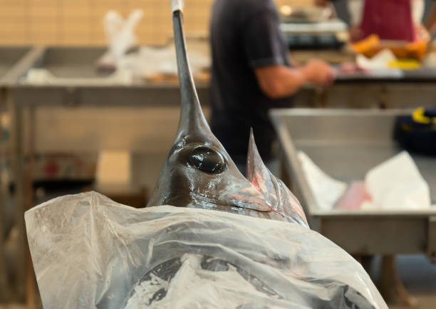 View of the fish market in Trapani.