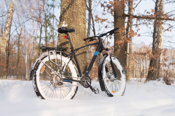 Fat biker riding his bicycle in the snow during Canadian winter