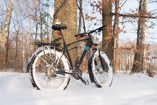 Modern bicycle in a snowy forest on a winter day. Low angle view.