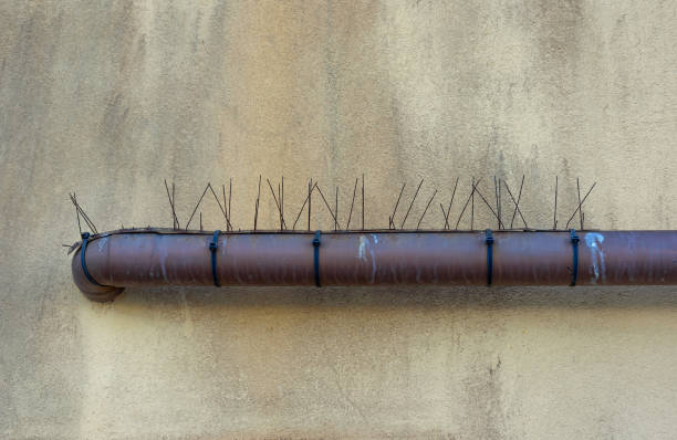 istock Pipe on the wall in Italy. 1937147891