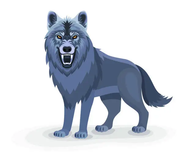 Vector illustration of Angry Wolf. Wolf mascot. Logo design illustration.