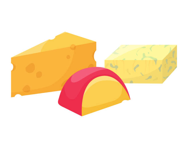 different types of cheese blocks and a cheese wheel slice. cartoon cheddar, swiss cheese, and gouda wedge. dairy products and cheese variety vector illustration - cheese wheel cheese cheddar wheel stock illustrations