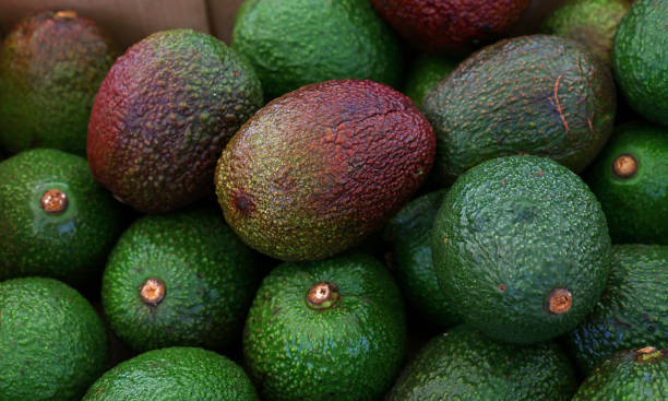 istock Fresh green and purple avocado on retail display 1937195081