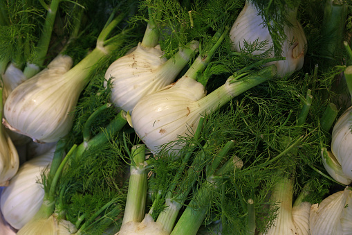 Close up fresh green fennel at retail display of farmer market, high angle view