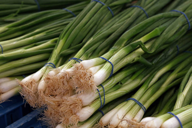 istock Heap of fresh green spring bunch onion 1937195393