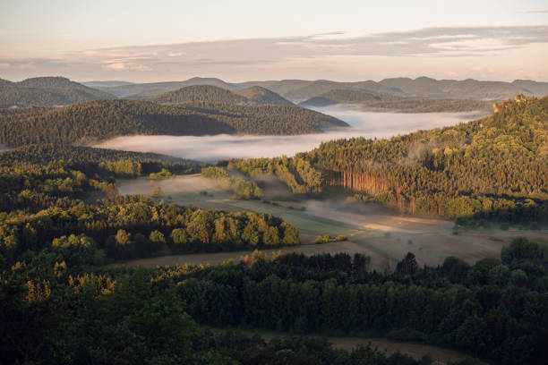 istock Walk through the forest, view from the top 1937215610