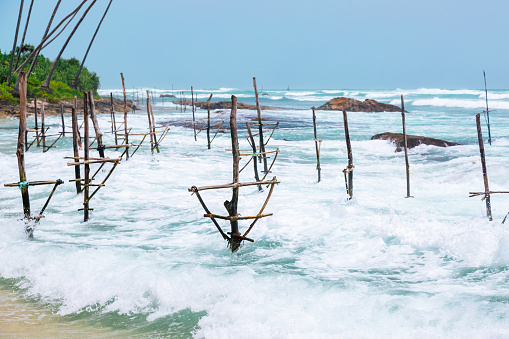 Stilt fishing structures stand amidst turbulent waves near the shore of Sri Lanka, showcasing a traditional fishing method. The coastal landscape is adorned with rocky outcrops and lush greenery with tall palm trees in the background.