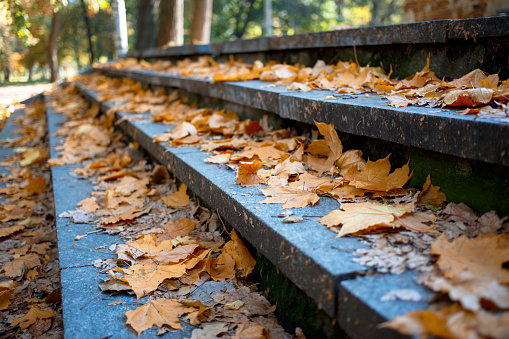 Piles of autumn leaves accumulate on steps - background image. Stone stair path through fall colored trees.Yellow leaves on the granite steps.