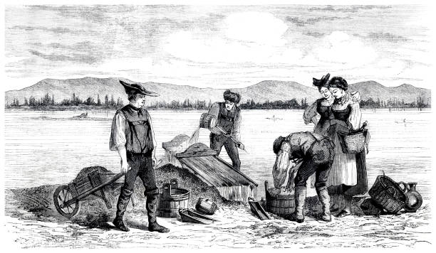 menschen auf der suche nach gold am rhein in deutschland 1861 illustration - 1861 stock-grafiken, -clipart, -cartoons und -symbole