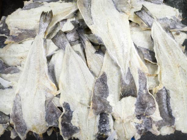 istock Cod fish, Cod of the species Gadus morhua. 1937275108