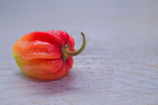 Fresh ripe Caribbean red habanero hot pepper on a light table background.