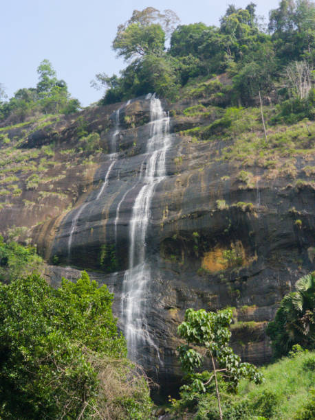 istock Beautiful waterfall water flow cascading over a mountain in a forest jungle wallpaper 1937355007