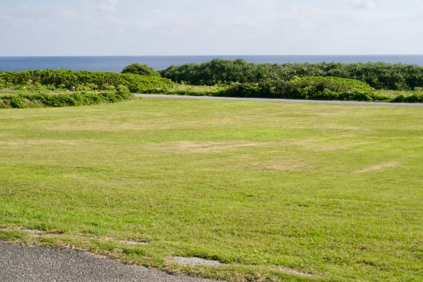 istock Lawn in Cape Higashi-hennazaki Park 1937359837