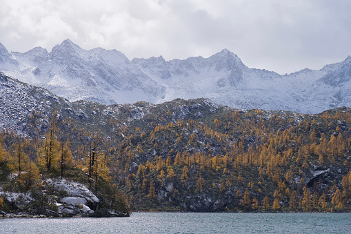 深秋初冬交替的葫蘆海，雪山湖泊金色樹葉
