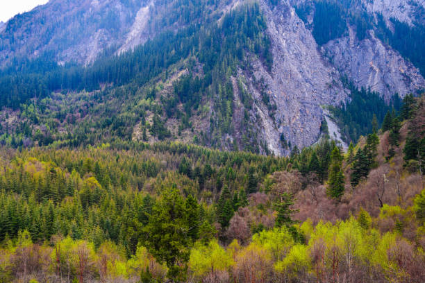 Jiuzhaigou(Jiuzhai Valley) is a nature reserve and national park located in the north of Sichuan Province in southwestern China. A long valley running north to south, Jiuzhaigou was inscribed by UNESCO as a World Heritage Site in 1992 and a World Biosphere Reserve in 1997.