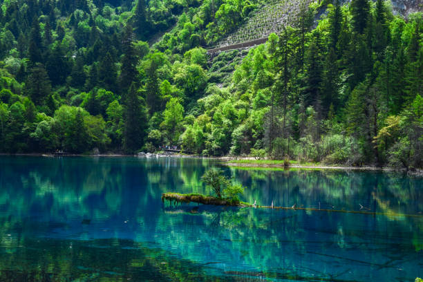 istock Jiuzhai Valley National Park Summer View 1937373566