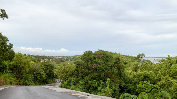 istock tranquil road in a countryside 1937374691