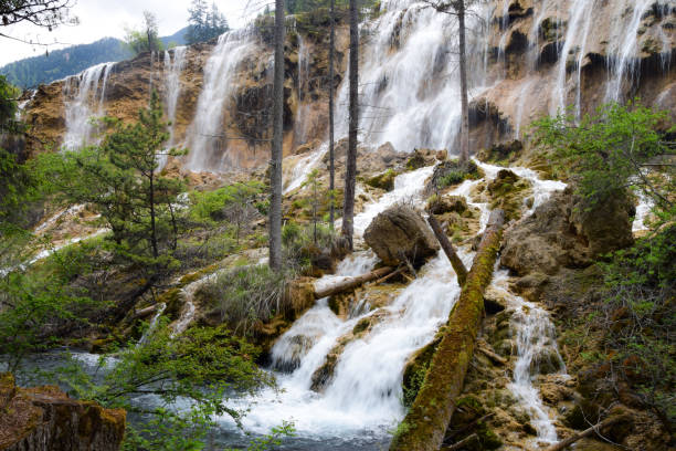 Jiuzhaigou(Jiuzhai Valley) is a nature reserve and national park located in the north of Sichuan Province in southwestern China. A long valley running north to south, Jiuzhaigou was inscribed by UNESCO as a World Heritage Site in 1992 and a World Biosphere Reserve in 1997.