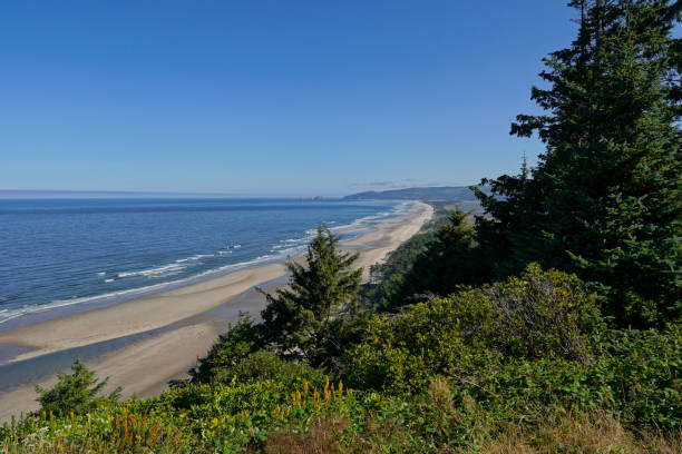 Oregon Coast at Cape Lookout State Park View of the Oregon Coast at Cape Lookout State Park headland stock pictures, royalty-free photos & images