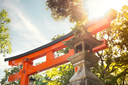 Kyoto, Japan - October 11, 2023: A golden hour sun glare at sunset of the famous Torii gates in Fushimi Inari Shrine, Kyoto, Japan.