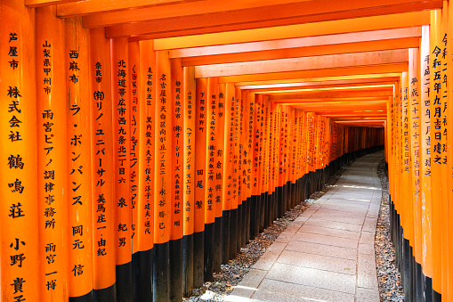 Kyoto, Japan - October 11, 2023: The famous row of Torii gates in Fushimi Inari Shrine, Kyoto, Japan.