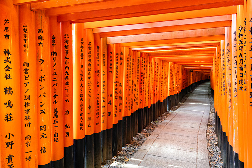 Kyoto, Japan - October 11, 2023: The famous row of Torii gates in Fushimi Inari Shrine, Kyoto, Japan.