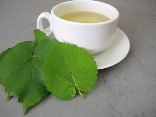 istock A cup of tea from white mulberry leaves, mulberry leaf tea 1937399085