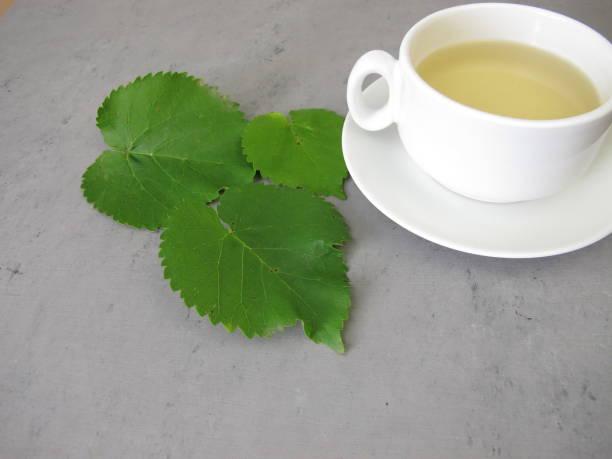 istock A cup of tea from white mulberry leaves, mulberry leaf tea 1937399086