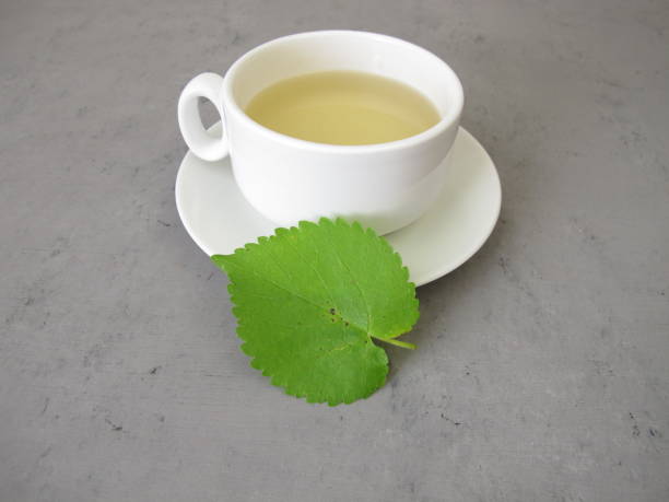istock A cup of tea from white mulberry leaves, mulberry leaf tea 1937399101