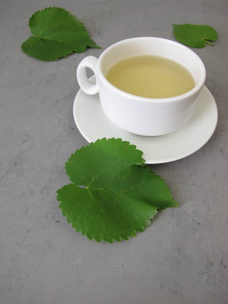 istock A cup of tea from white mulberry leaves, mulberry leaf tea 1937399120