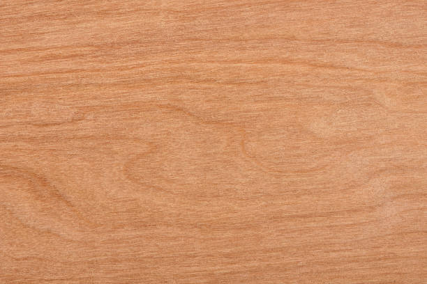 istock High angle view of a flat textured wooden board backgrounds. 1937411914