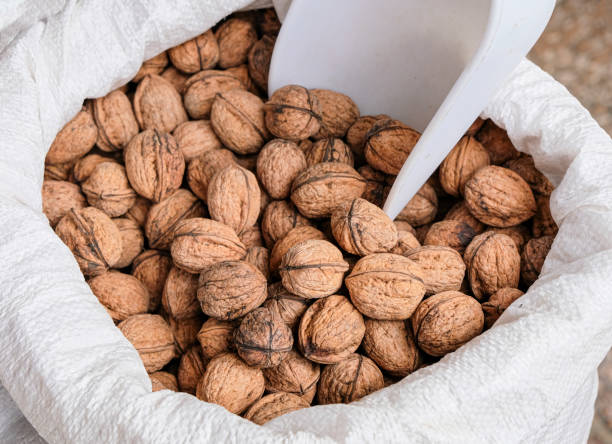 organic walnuts at the market