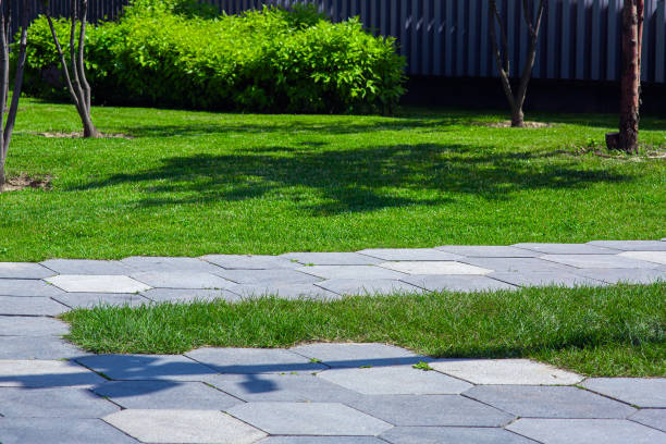 istock landscape design of park with stone tile walkway, at sunny spring, nobody. 1937426028