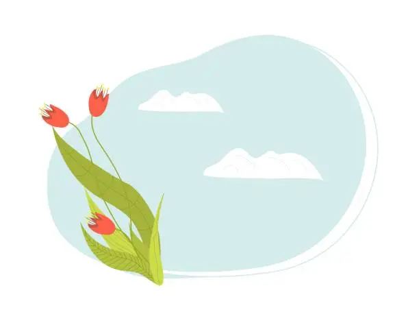 Vector illustration of Red tulips with green leaves on blue and white background. Minimalist floral design with clouds. Springtime and nature concept vector illustration