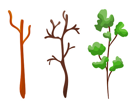 Three stages of tree growth from bare to leafy. Cartoon sapling development, seasonal tree life cycle. Nature, environment, and growth concept vector illustration.