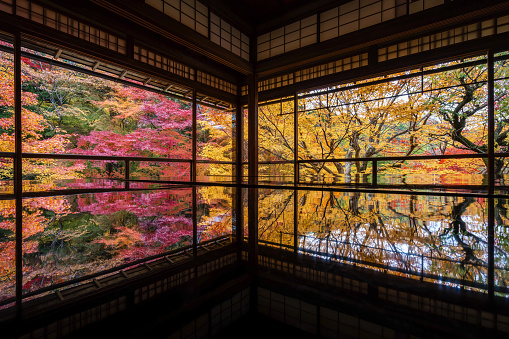 Kyoto, Japan - November 29, 2023: Vibrant colors at Ruriko-in Buddhist temple during autumn season in Kyoto, Japan