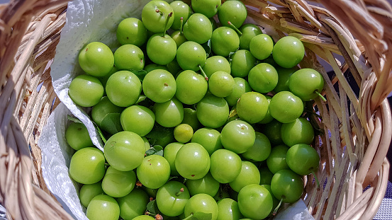 Bunch of green plums in a wicker basket on the table