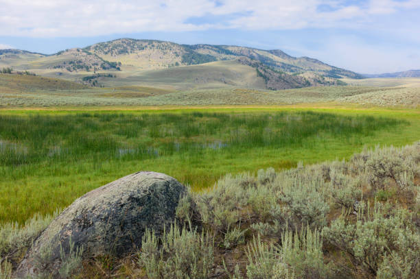 yellowstone national park with foothills and valley of sagebrush. wyoming, usa. - flowing blue rippled environment ストックフォトと画像