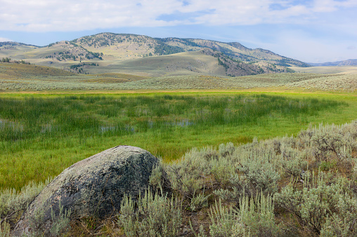View across the wild beautiful landscape of Yellowstone National Park with sagebrush and flanked by foothills of Rockies near Mammoth Hot Springs  in Wyoming, USA.