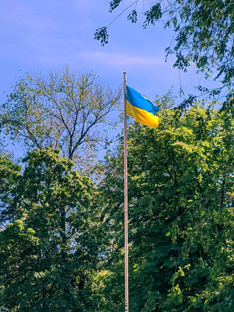 istock The Ukrainian flag is being developed on the flagpole. 1937494059