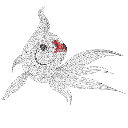 Fish white koi carp  two outline low-polygon  vector illustration editable hand draw