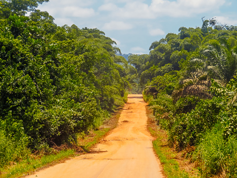 Road through the Mayombe forest (Floresta de Mayombe) in Democratic Republic of Congo.
