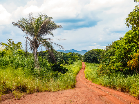 Road through the forest in Sossi in The Republic of Congo.
