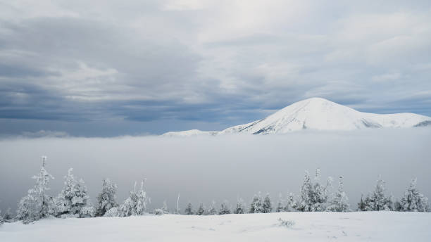 istock Ukrainian mount Petros in winter Carpathians 1937509035